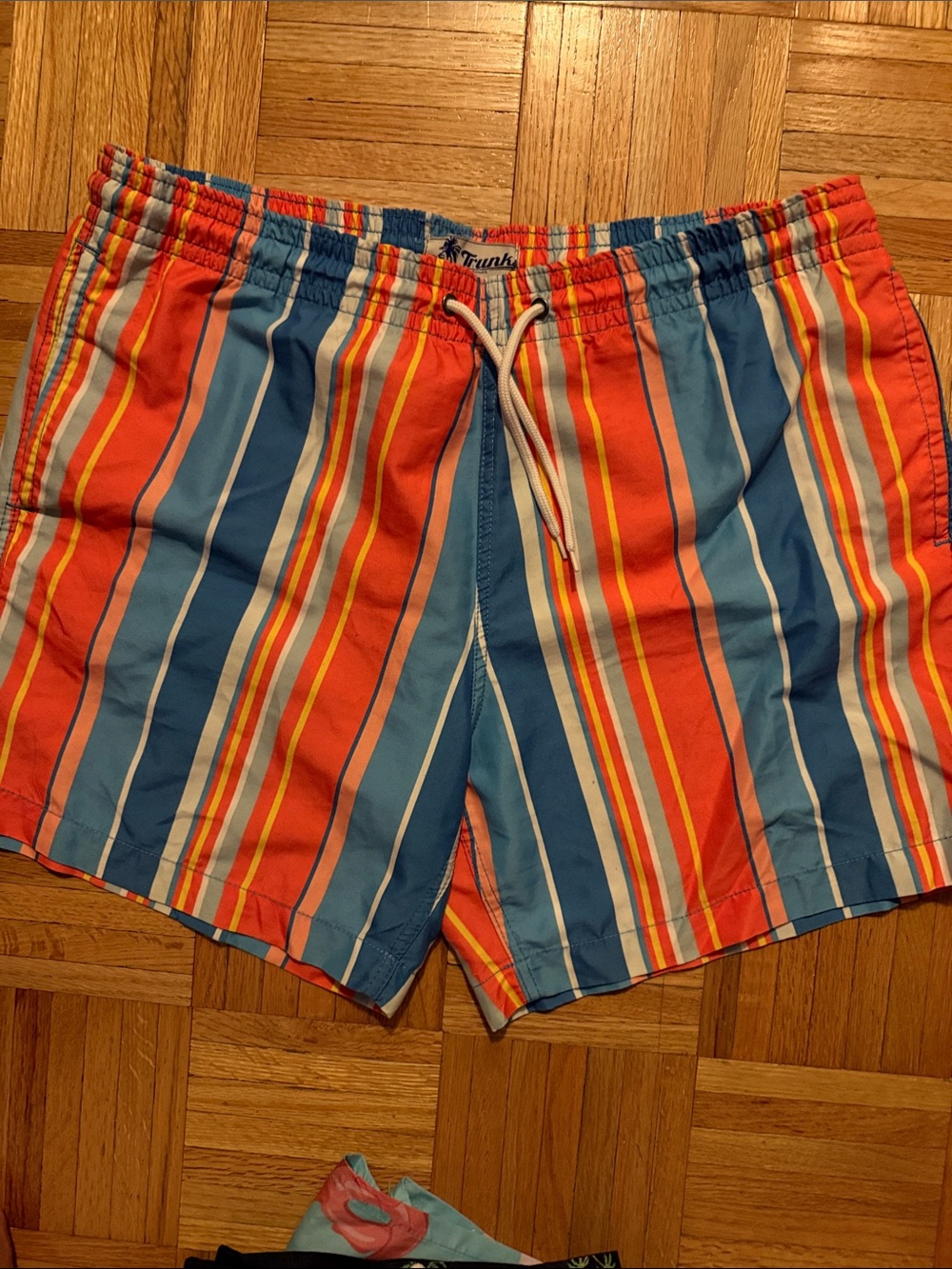 Men's Striped Swim Trunks in Coral & Blue by Unk